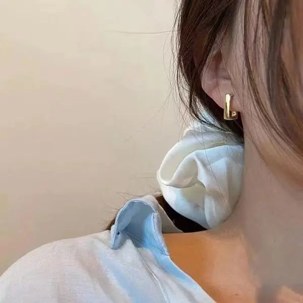 European and American Fashion Earrings Geometric Metal Earrings Fashion Earrings Net Red New Trend Earrings