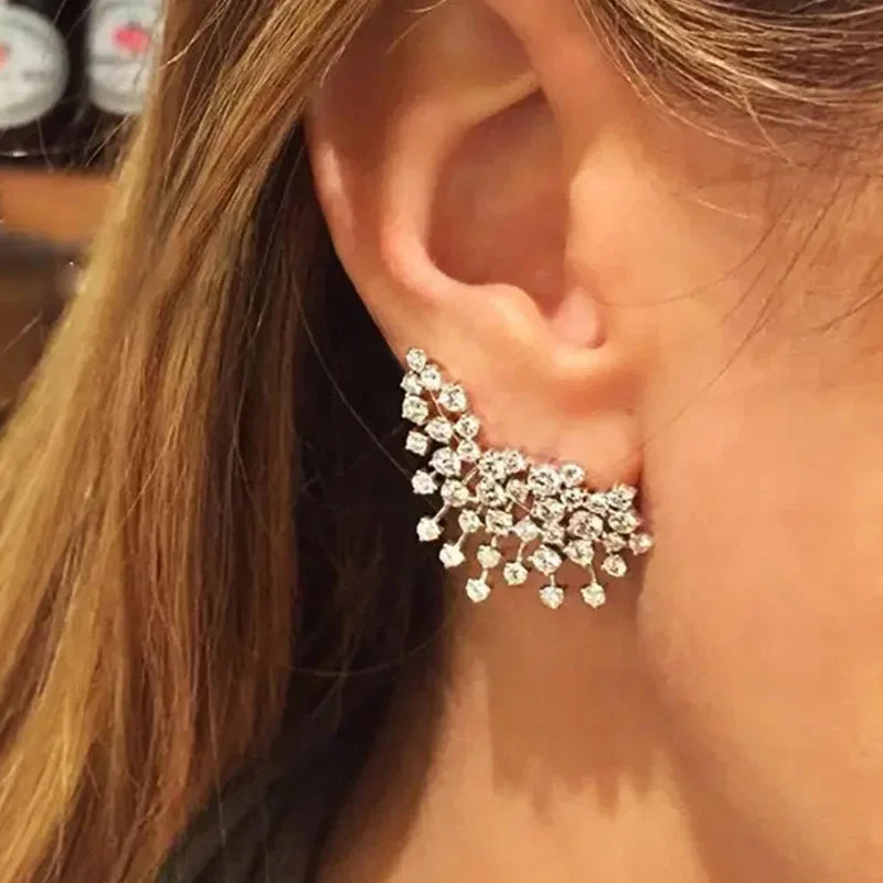 New European and American Design Earrings with Personality, Niche Fashion, Elegant Personality, Light Luxury Jewelry Accessories