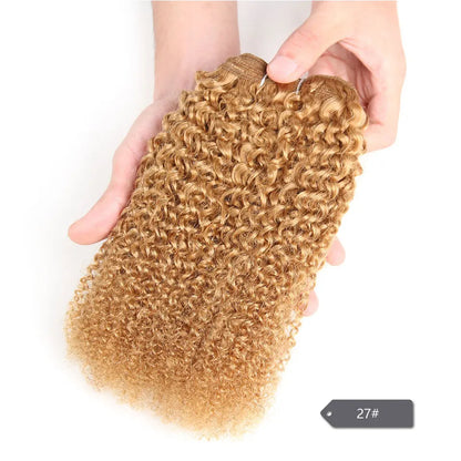 Sleek Afro Kinky Weave Curly Hair Peruvian Human Hair Weave Bundles Deal  #1B #2 #4 Brown Remy Hair Extension