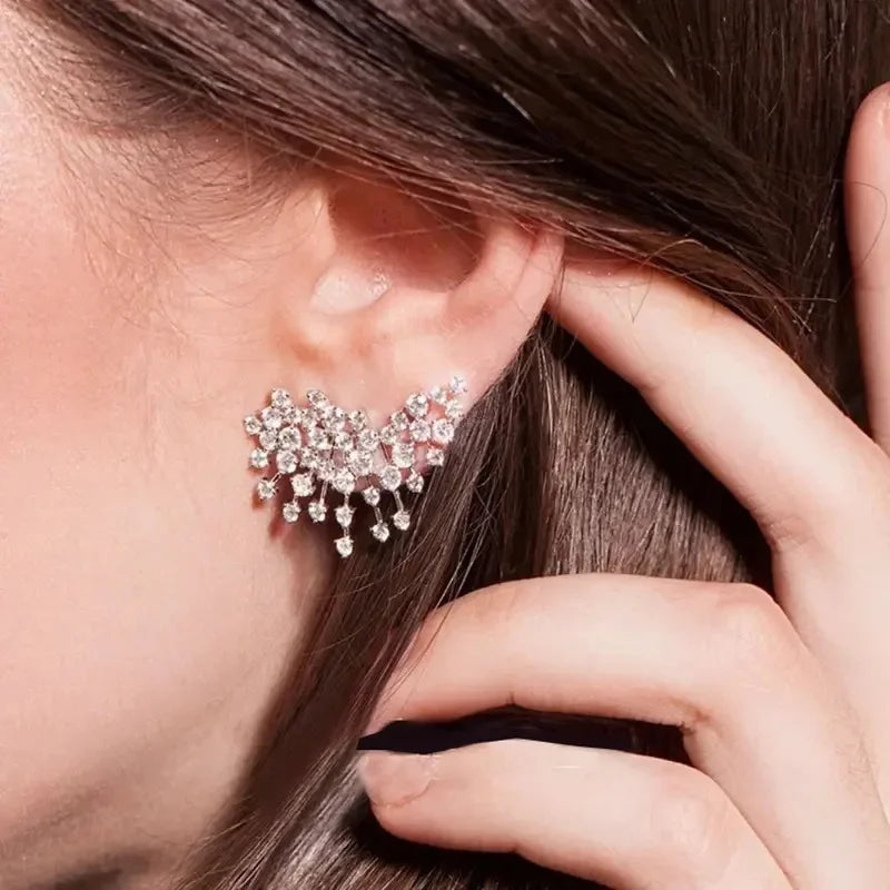 New European and American Design Earrings with Personality, Niche Fashion, Elegant Personality, Light Luxury Jewelry Accessories