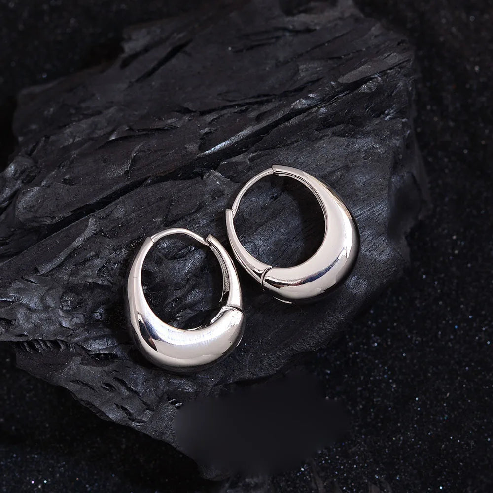 925 Sterling Silver Earrings For Women Trendy Simple Shinning Earring Jewelry Prevent Allergy Party Christmas Accessories