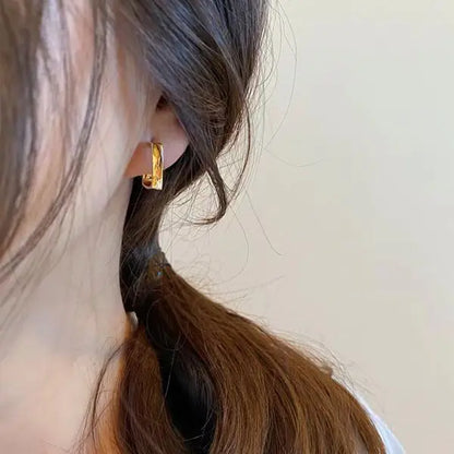 European and American Fashion Earrings Geometric Metal Earrings Fashion Earrings Net Red New Trend Earrings